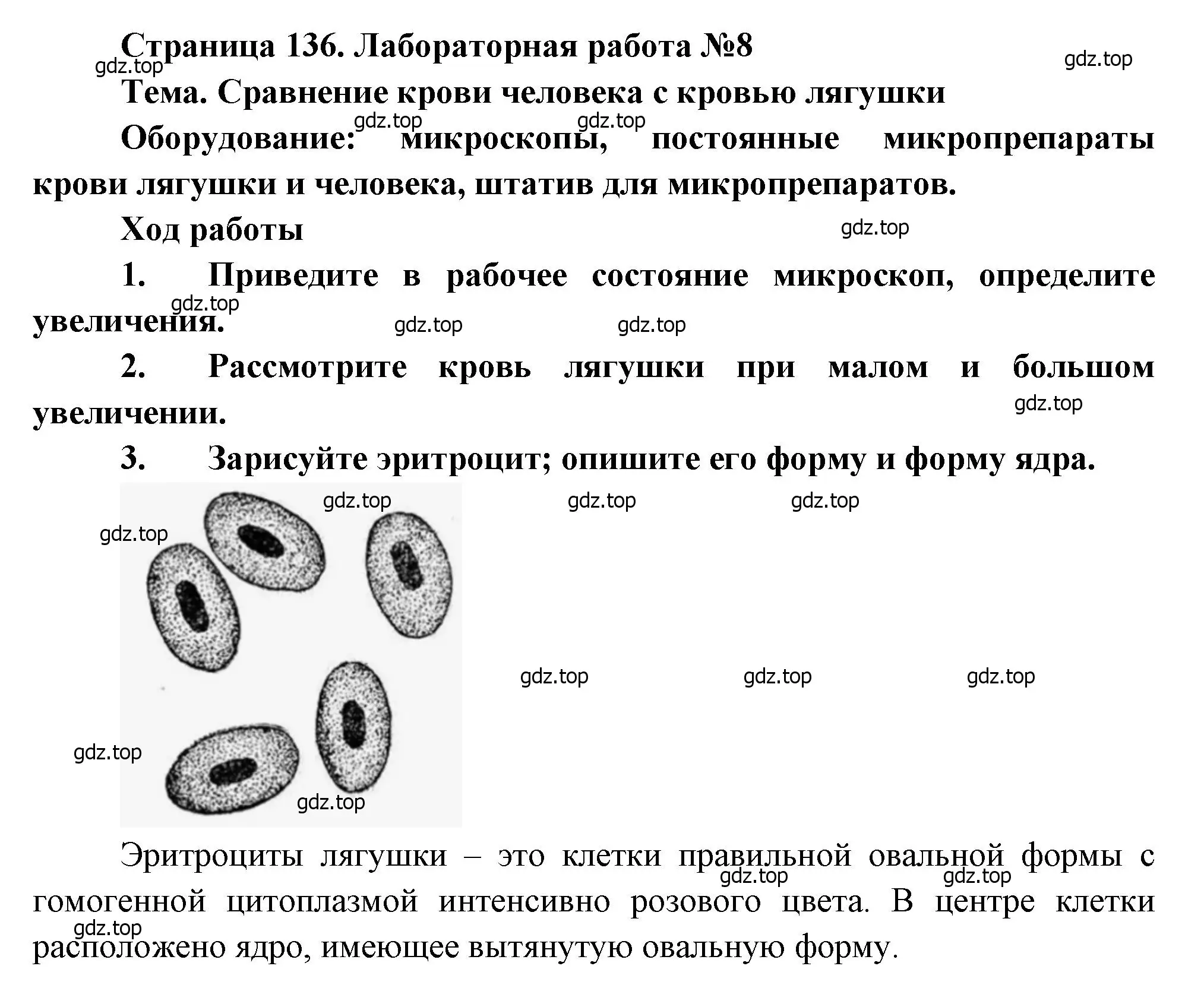 Решение  Лабораторная работа №8 (страница 120) гдз по биологии 8 класс Драгомилов, Маш, учебник