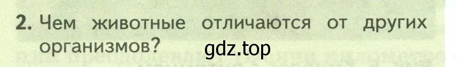 Условие номер 2 (страница 10) гдз по биологии 8 класс Пасечник, Суматохин, учебник