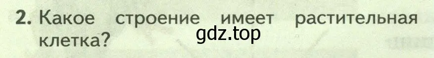 Условие номер 2 (страница 14) гдз по биологии 8 класс Пасечник, Суматохин, учебник