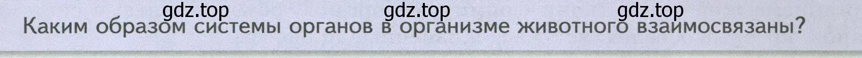 Условие номер Подумайте! (страница 19) гдз по биологии 8 класс Пасечник, Суматохин, учебник