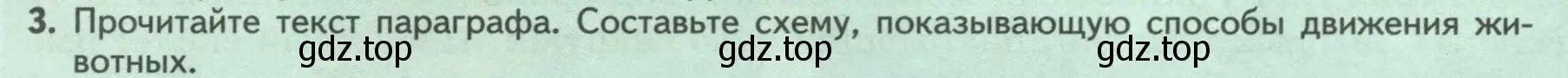 Условие номер 3 (страница 24) гдз по биологии 8 класс Пасечник, Суматохин, учебник