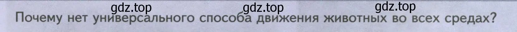 Условие номер Подумайте! (страница 24) гдз по биологии 8 класс Пасечник, Суматохин, учебник