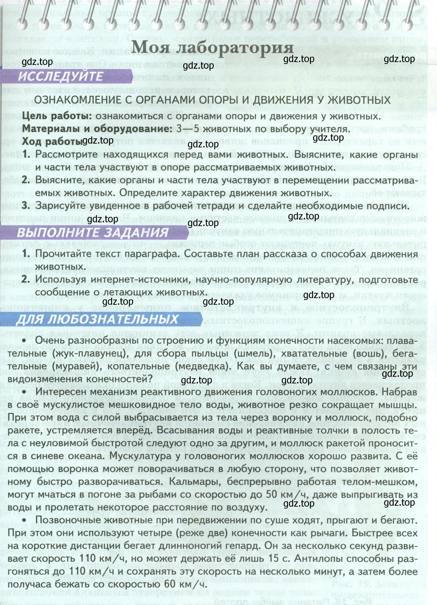 Условие номер Моя лаборатория (страница 25) гдз по биологии 8 класс Пасечник, Суматохин, учебник