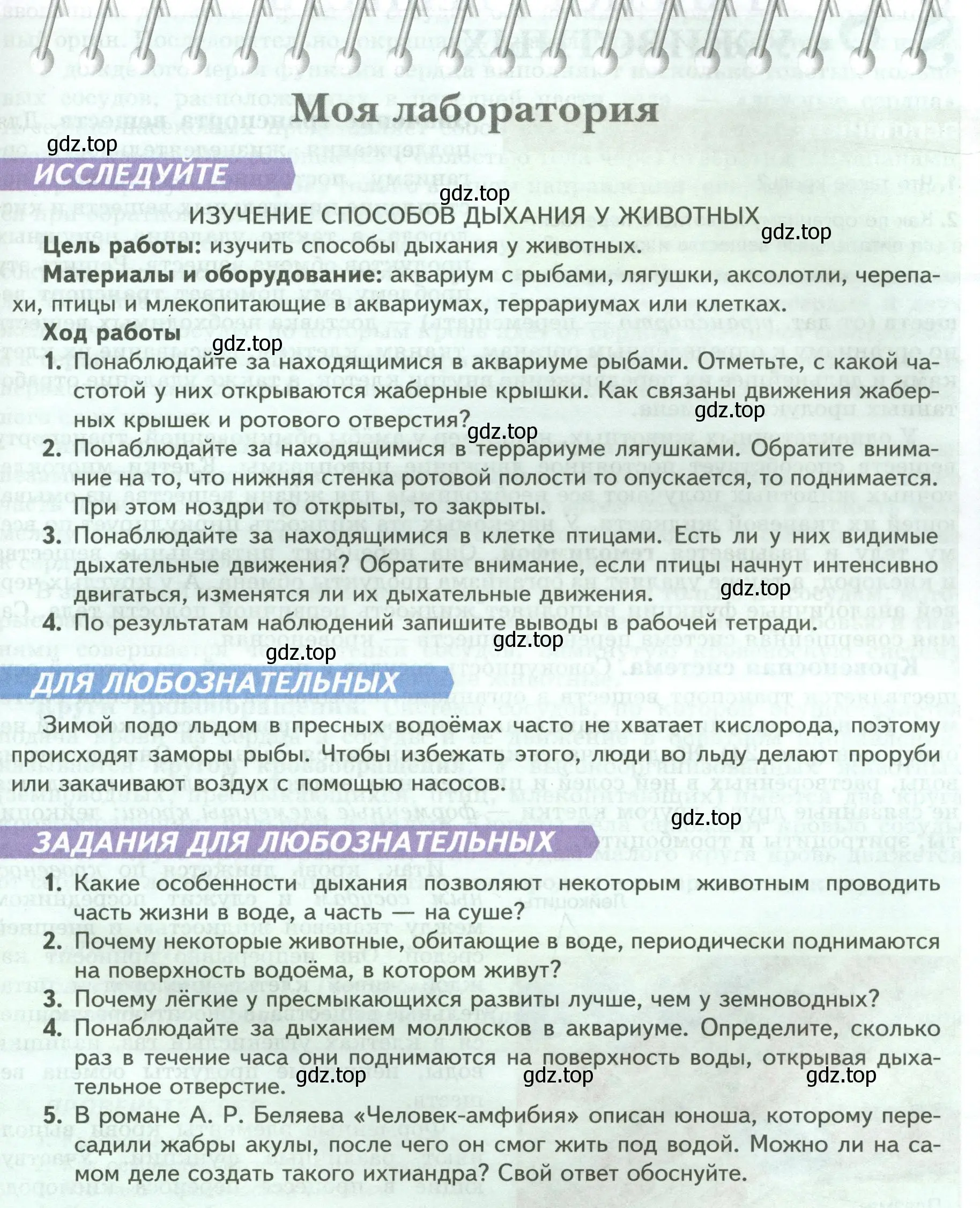 Условие номер Моя лаборатория (страница 33) гдз по биологии 8 класс Пасечник, Суматохин, учебник