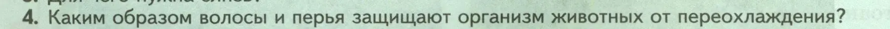 Условие номер 4 (страница 40) гдз по биологии 8 класс Пасечник, Суматохин, учебник