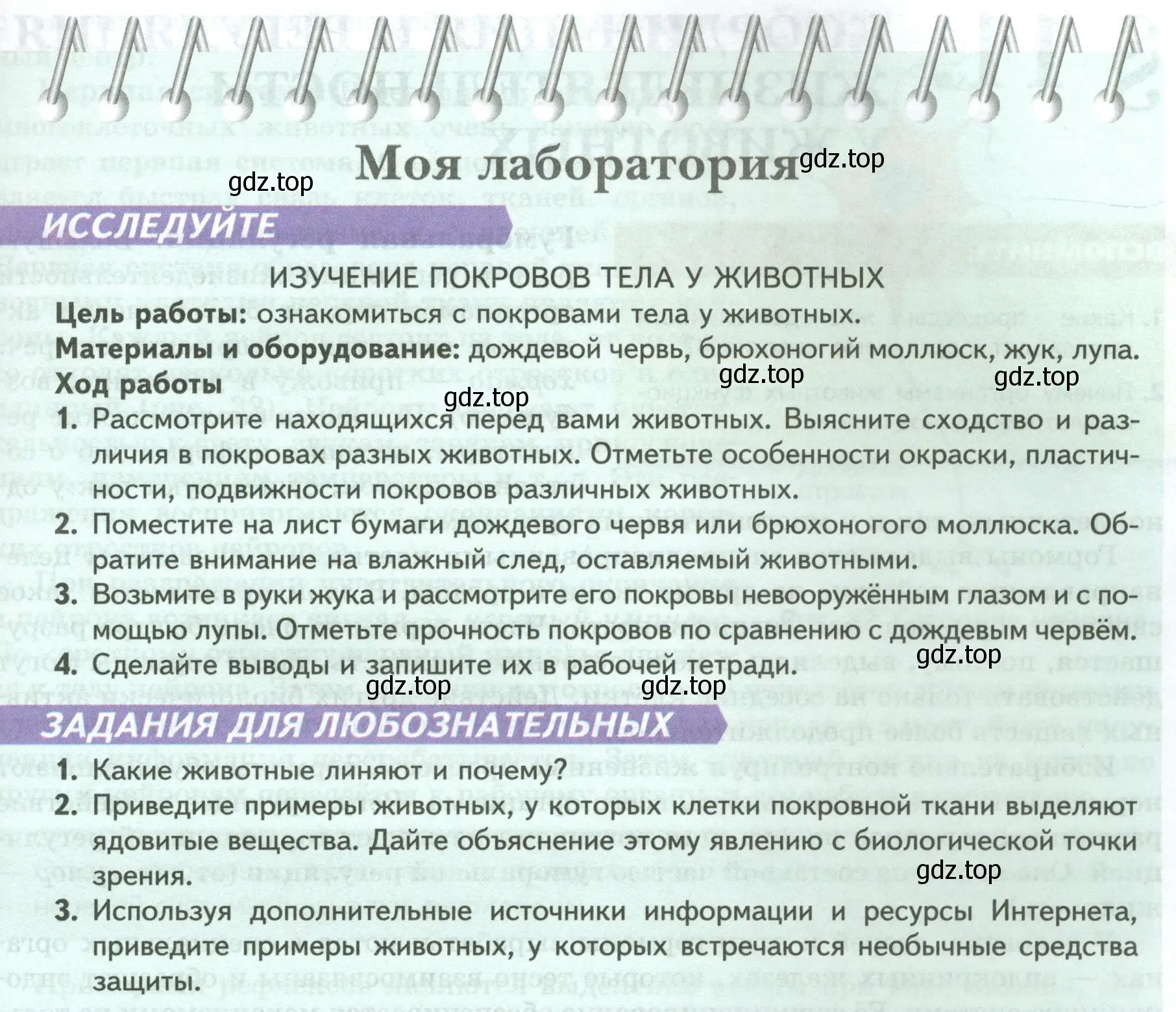 Условие номер Моя лаборатория (страница 41) гдз по биологии 8 класс Пасечник, Суматохин, учебник