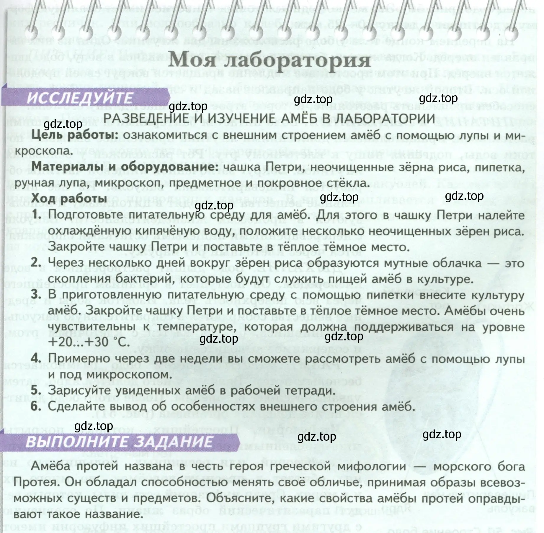 Условие номер Моя лаборатория (страница 65) гдз по биологии 8 класс Пасечник, Суматохин, учебник