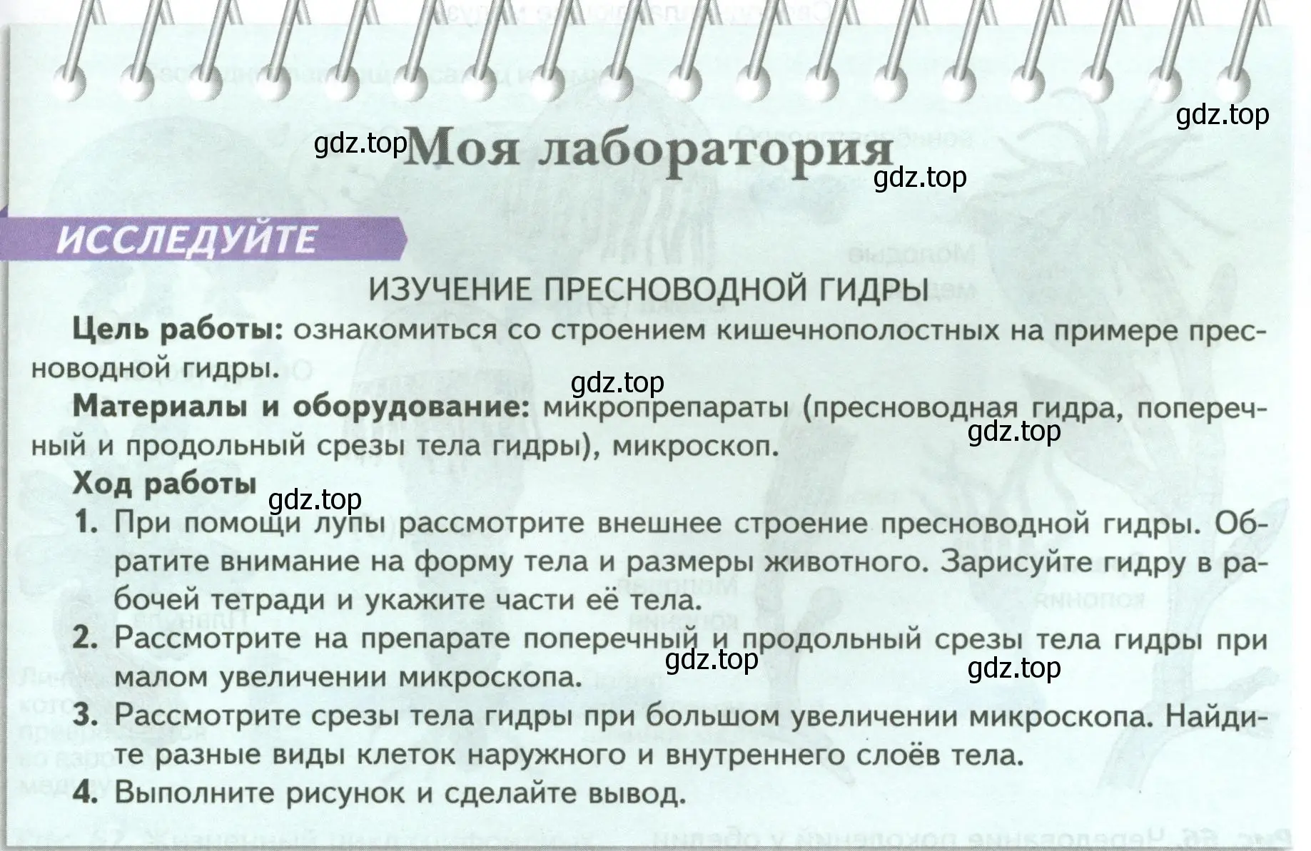 Условие номер Моя лаборатория (страница 81) гдз по биологии 8 класс Пасечник, Суматохин, учебник