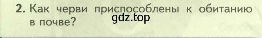 Условие номер 2 (страница 90) гдз по биологии 8 класс Пасечник, Суматохин, учебник