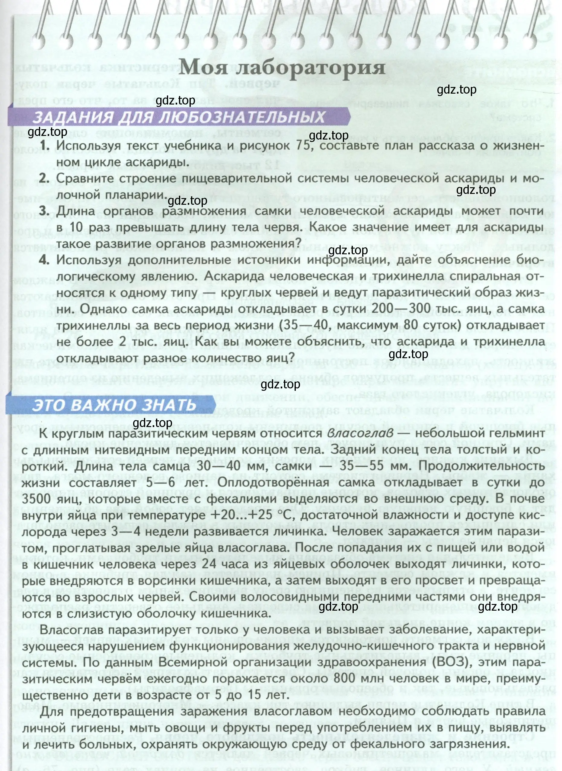 Условие номер Моя лаборатория (страница 93) гдз по биологии 8 класс Пасечник, Суматохин, учебник