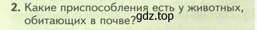 Условие номер 2 (страница 94) гдз по биологии 8 класс Пасечник, Суматохин, учебник