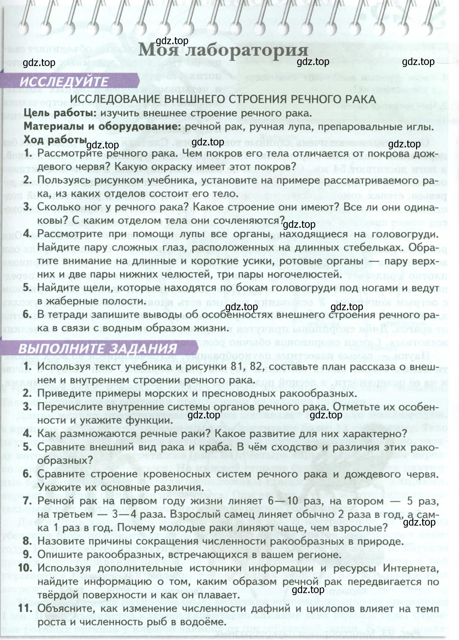 Условие номер Моя лаборатория (страница 107) гдз по биологии 8 класс Пасечник, Суматохин, учебник