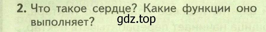 Условие номер 2 (страница 128) гдз по биологии 8 класс Пасечник, Суматохин, учебник