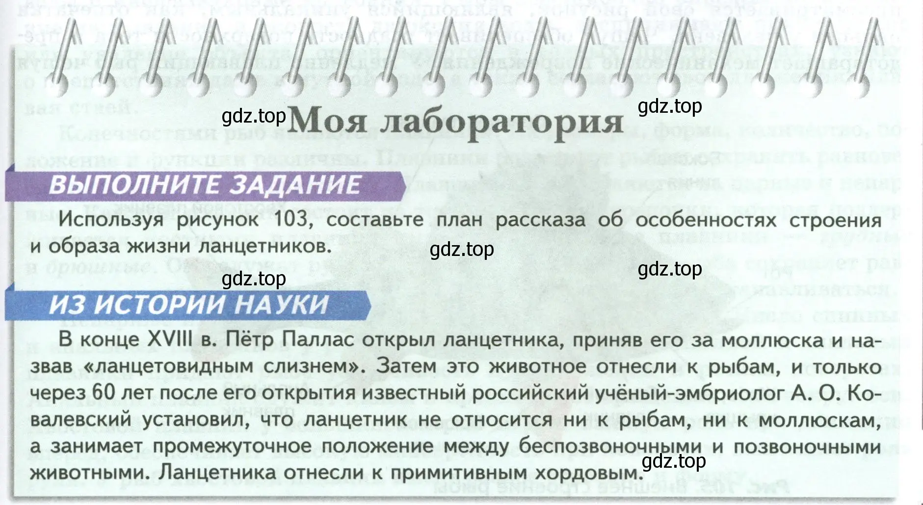 Условие номер Моя лаборатория (страница 143) гдз по биологии 8 класс Пасечник, Суматохин, учебник