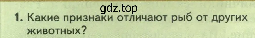 Условие номер 1 (страница 144) гдз по биологии 8 класс Пасечник, Суматохин, учебник