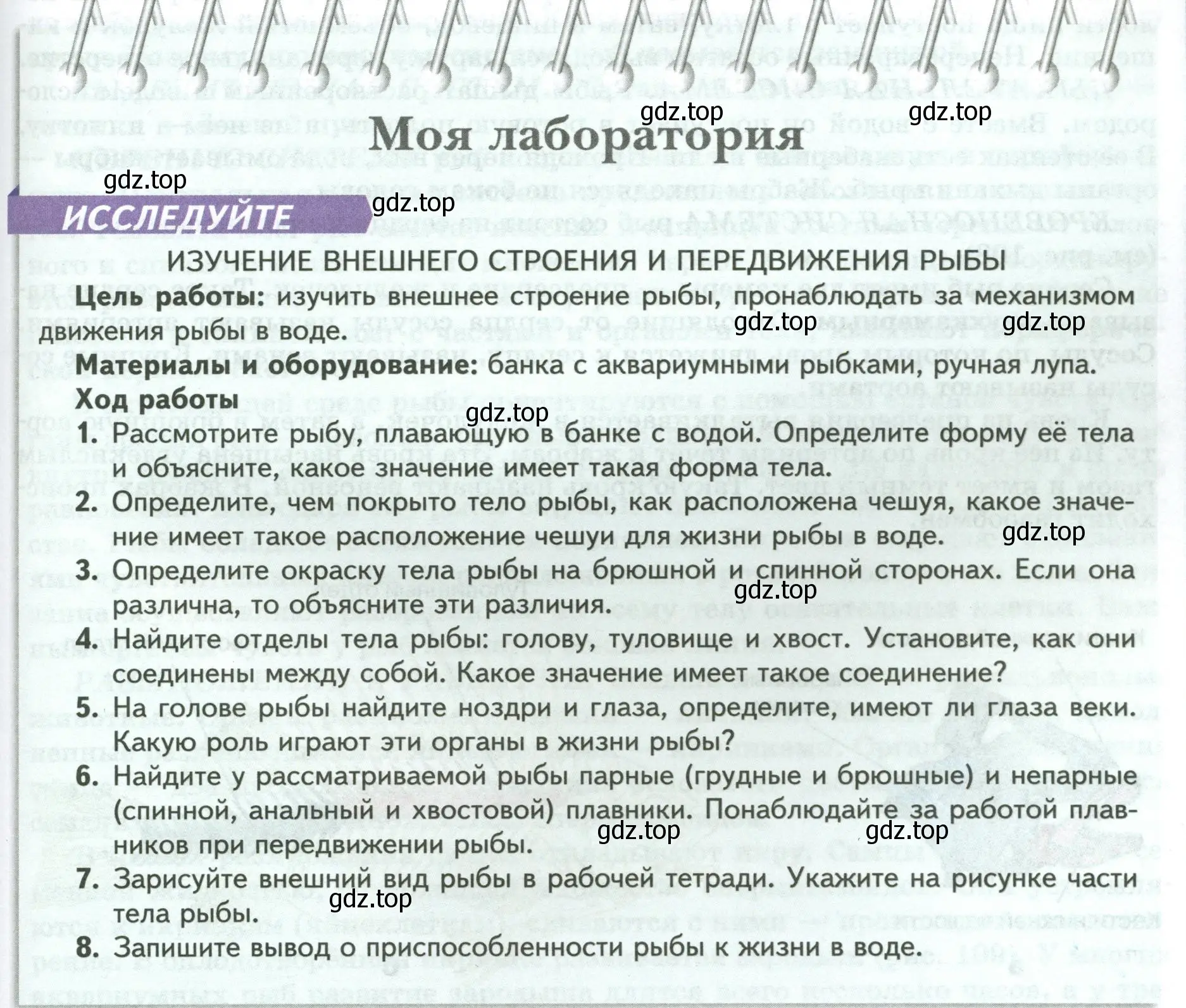 Условие номер Моя лаборатория (страница 147) гдз по биологии 8 класс Пасечник, Суматохин, учебник