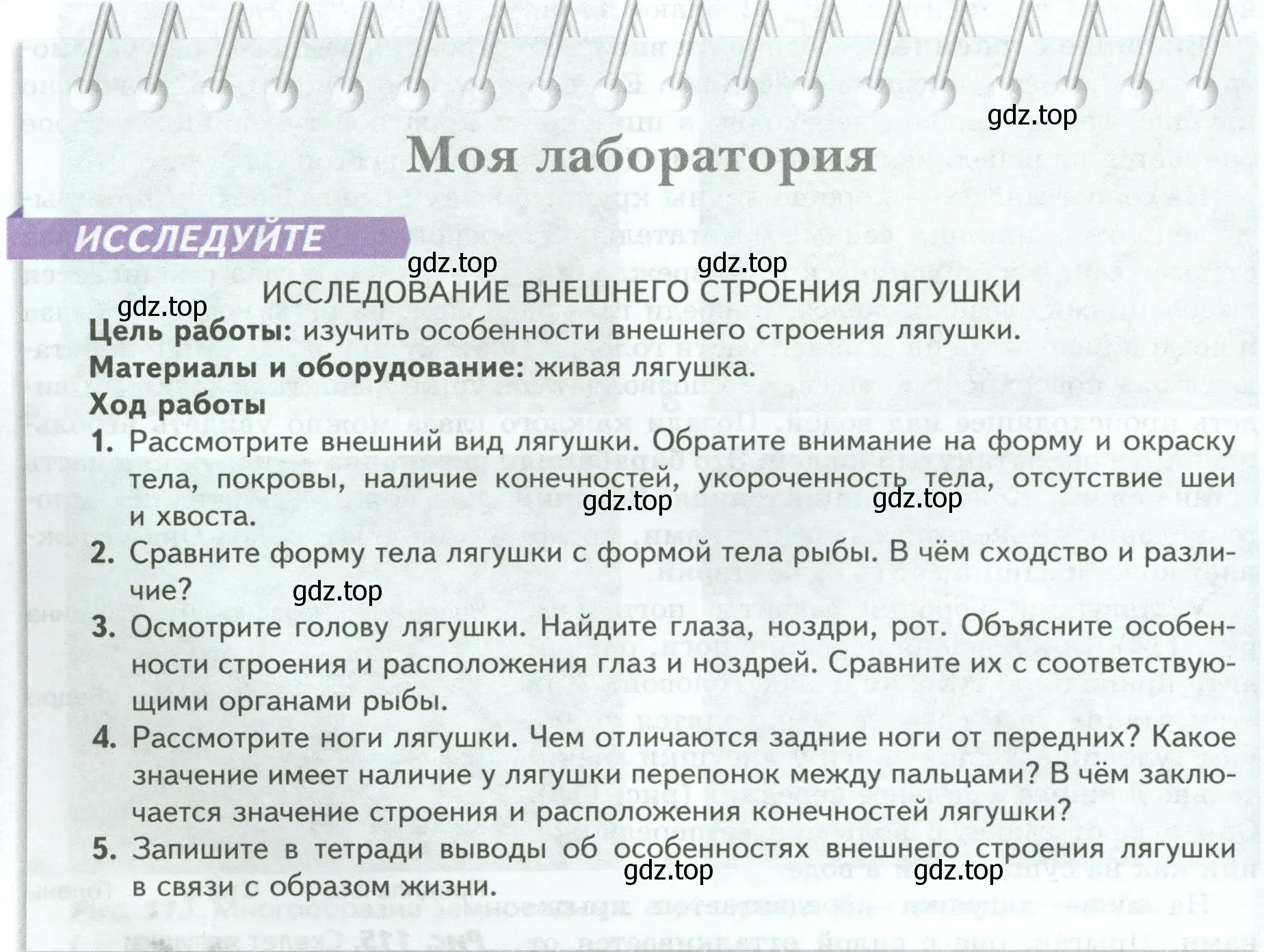 Условие номер Моя лаборатория (страница 162) гдз по биологии 8 класс Пасечник, Суматохин, учебник