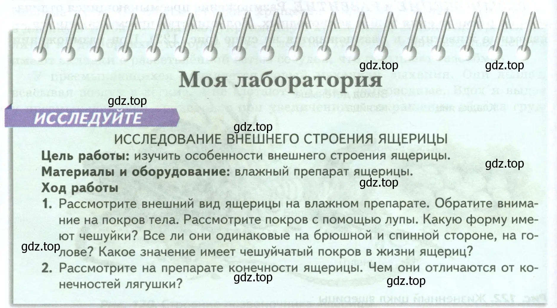 Условие номер Моя лаборатория (страница 172) гдз по биологии 8 класс Пасечник, Суматохин, учебник