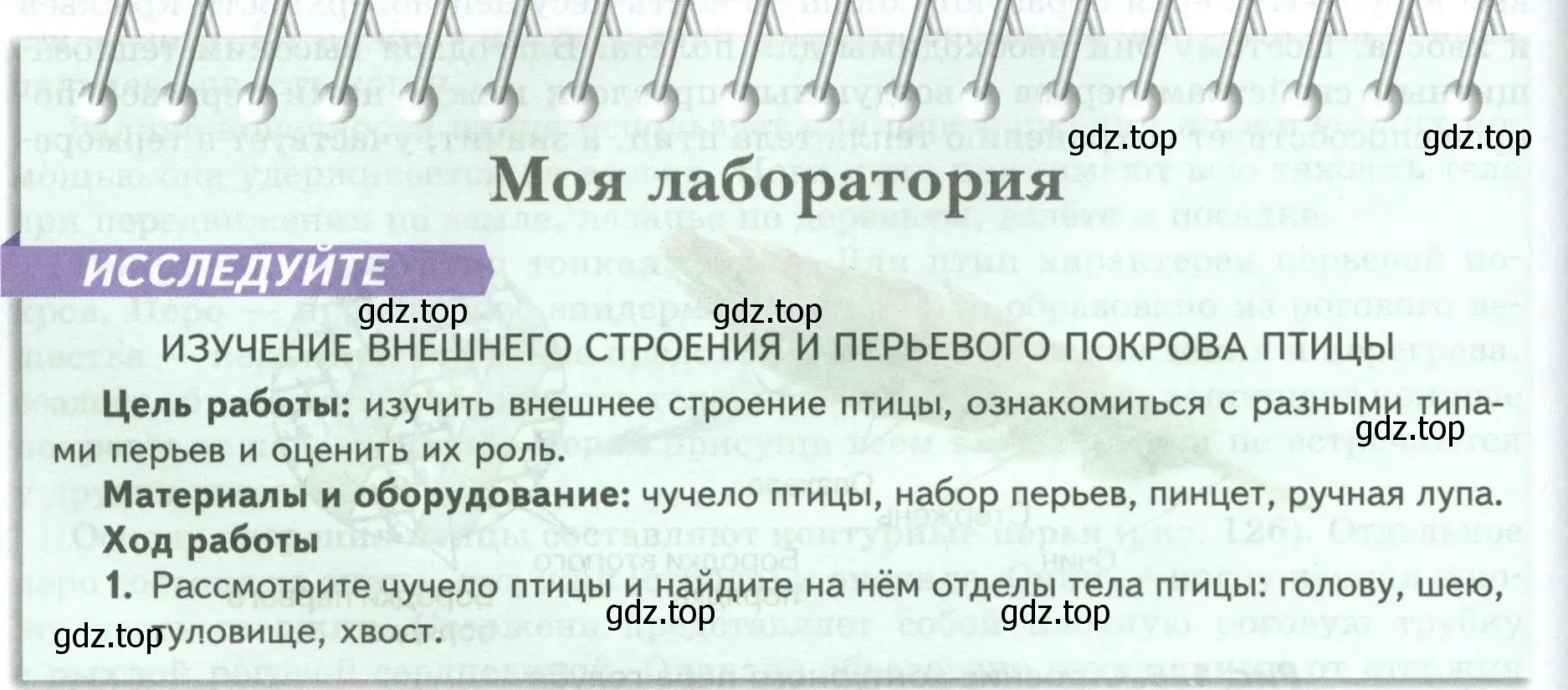 Условие номер Моя лаборатория (страница 180) гдз по биологии 8 класс Пасечник, Суматохин, учебник