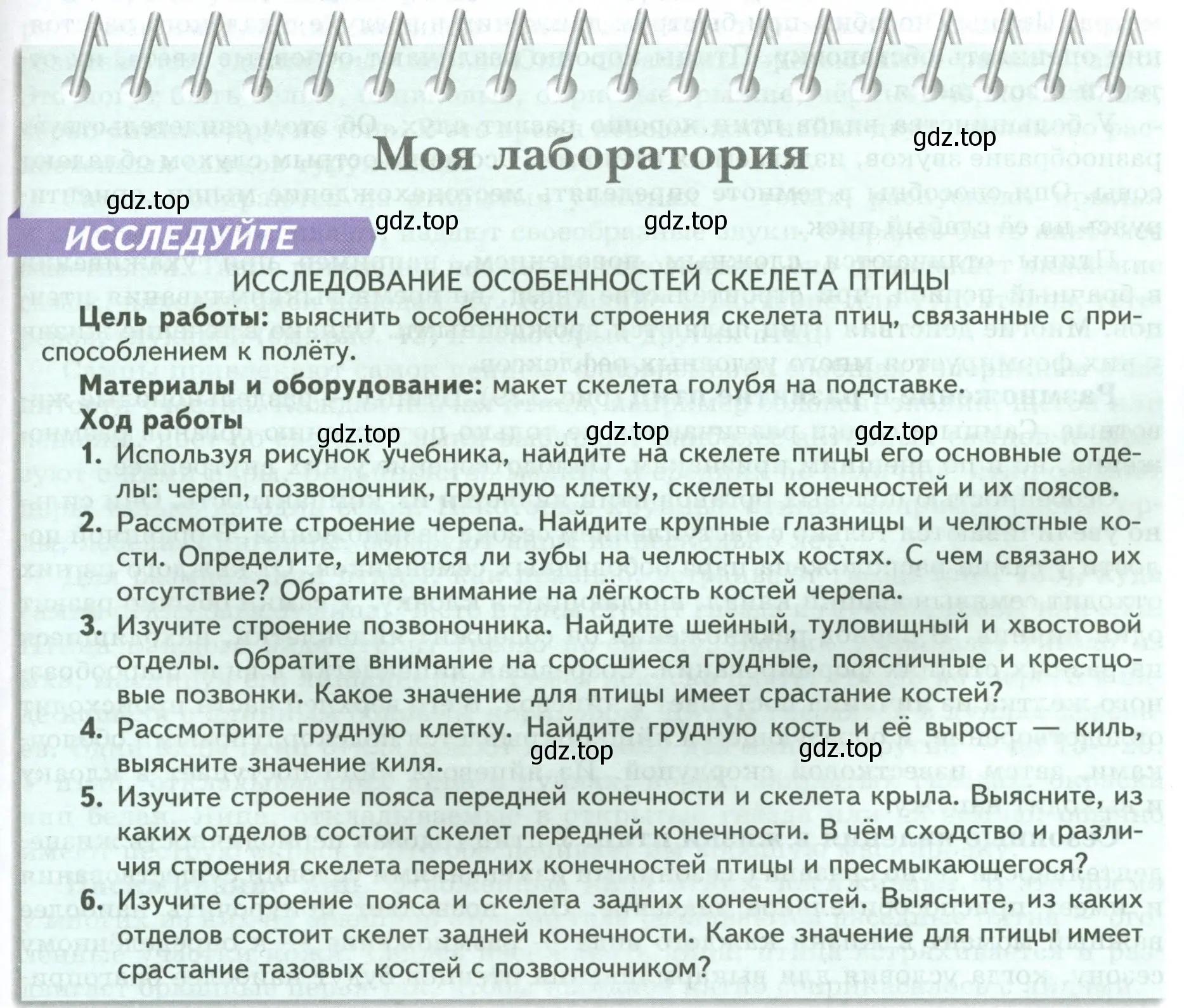 Условие номер Моя лаборатория (страница 185) гдз по биологии 8 класс Пасечник, Суматохин, учебник