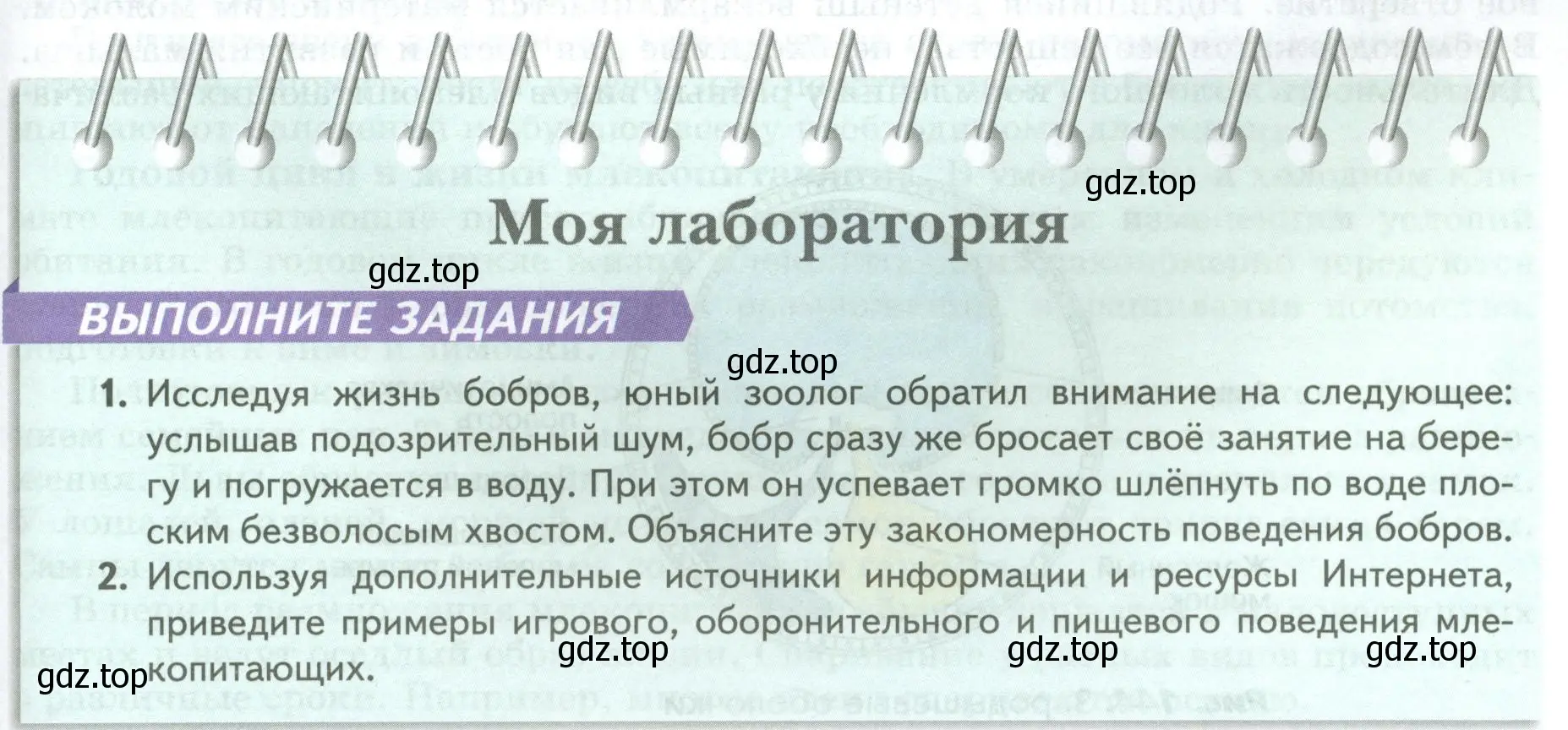 Условие номер Моя лаборатория (страница 205) гдз по биологии 8 класс Пасечник, Суматохин, учебник