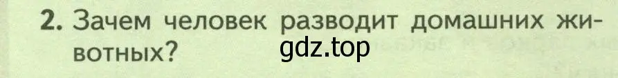 Условие номер 2 (страница 256) гдз по биологии 8 класс Пасечник, Суматохин, учебник