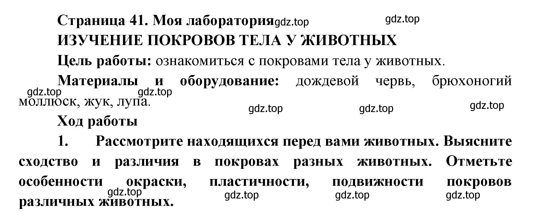 Решение номер Моя лаборатория (страница 41) гдз по биологии 8 класс Пасечник, Суматохин, учебник