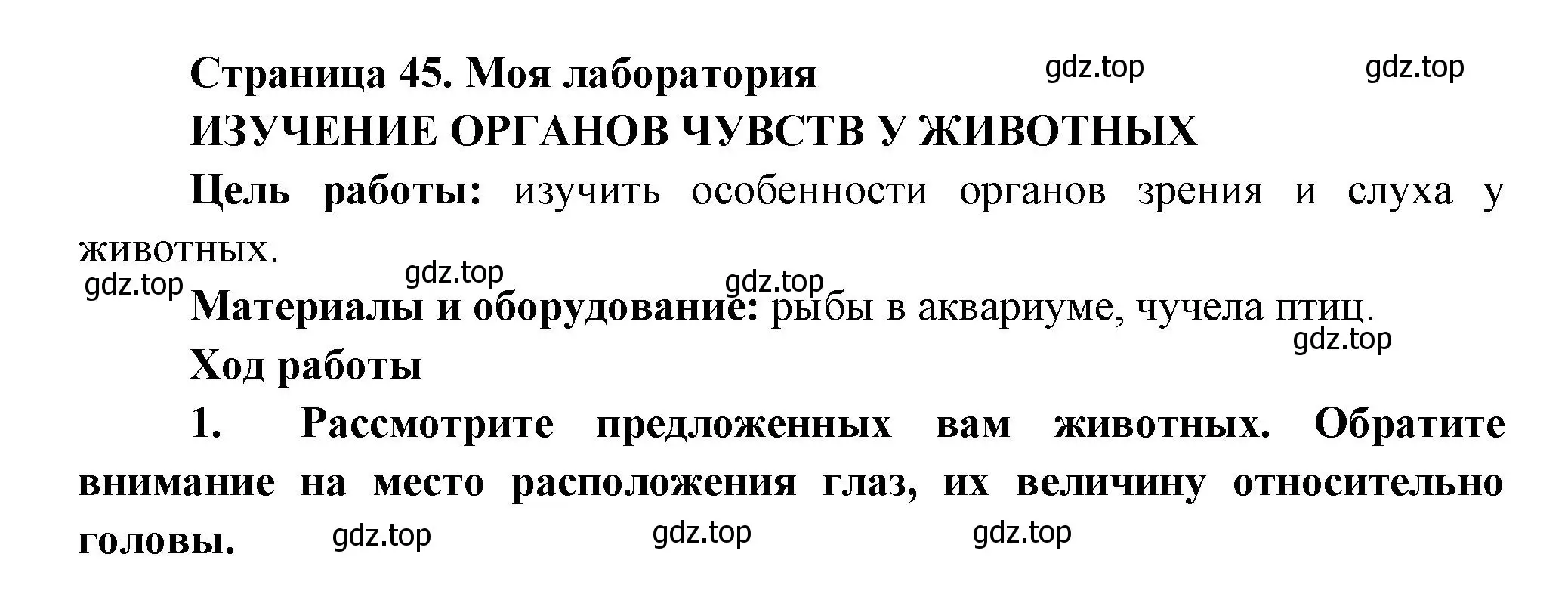 Решение номер Моя лаборатория (страница 45) гдз по биологии 8 класс Пасечник, Суматохин, учебник