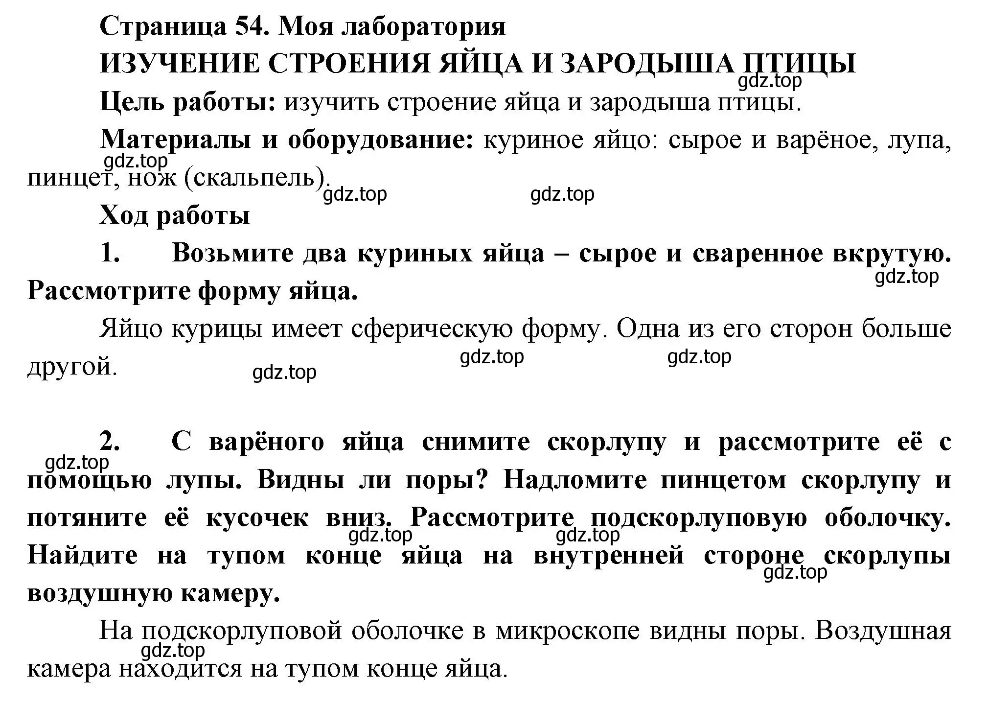 Решение номер Моя лаборатория (страница 54) гдз по биологии 8 класс Пасечник, Суматохин, учебник