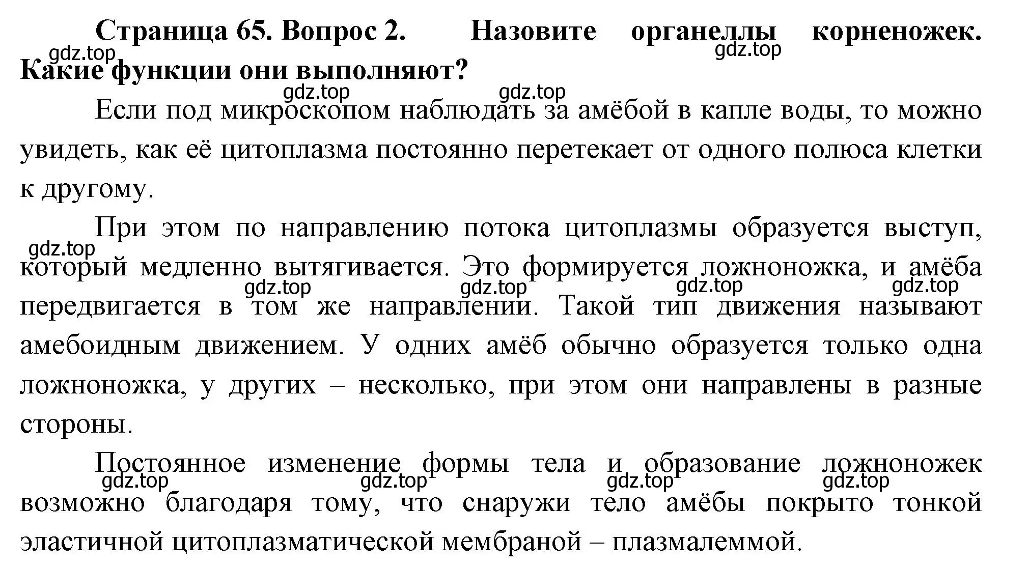 Решение номер 2 (страница 65) гдз по биологии 8 класс Пасечник, Суматохин, учебник