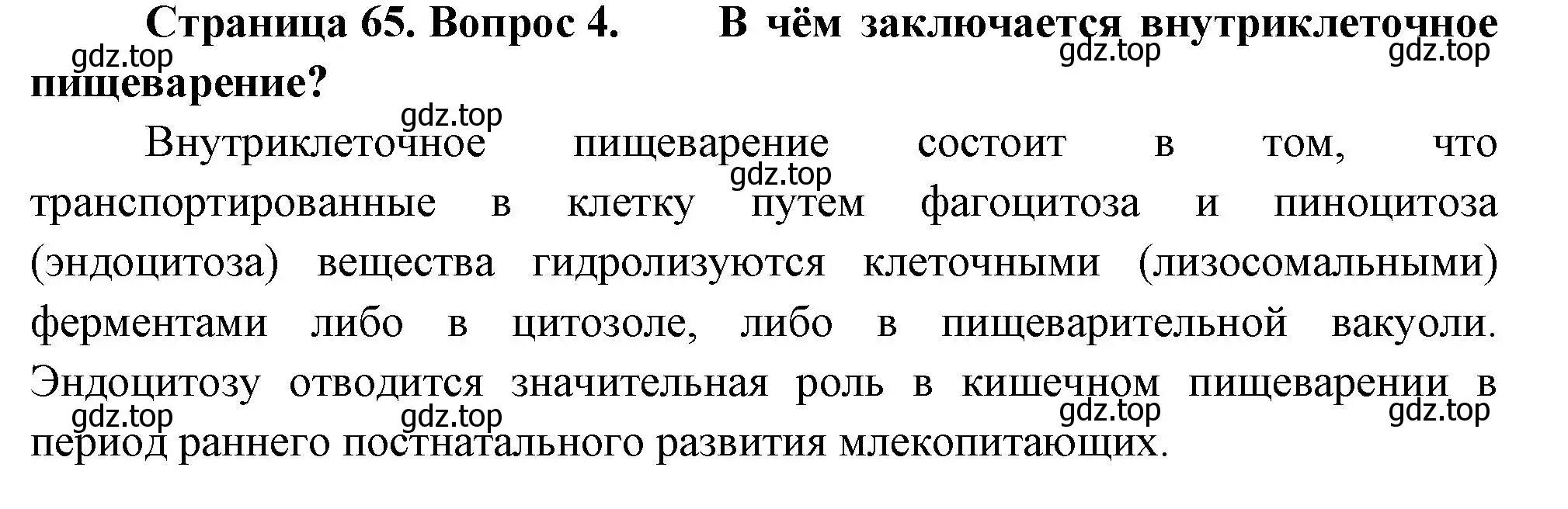 Решение номер 4 (страница 65) гдз по биологии 8 класс Пасечник, Суматохин, учебник