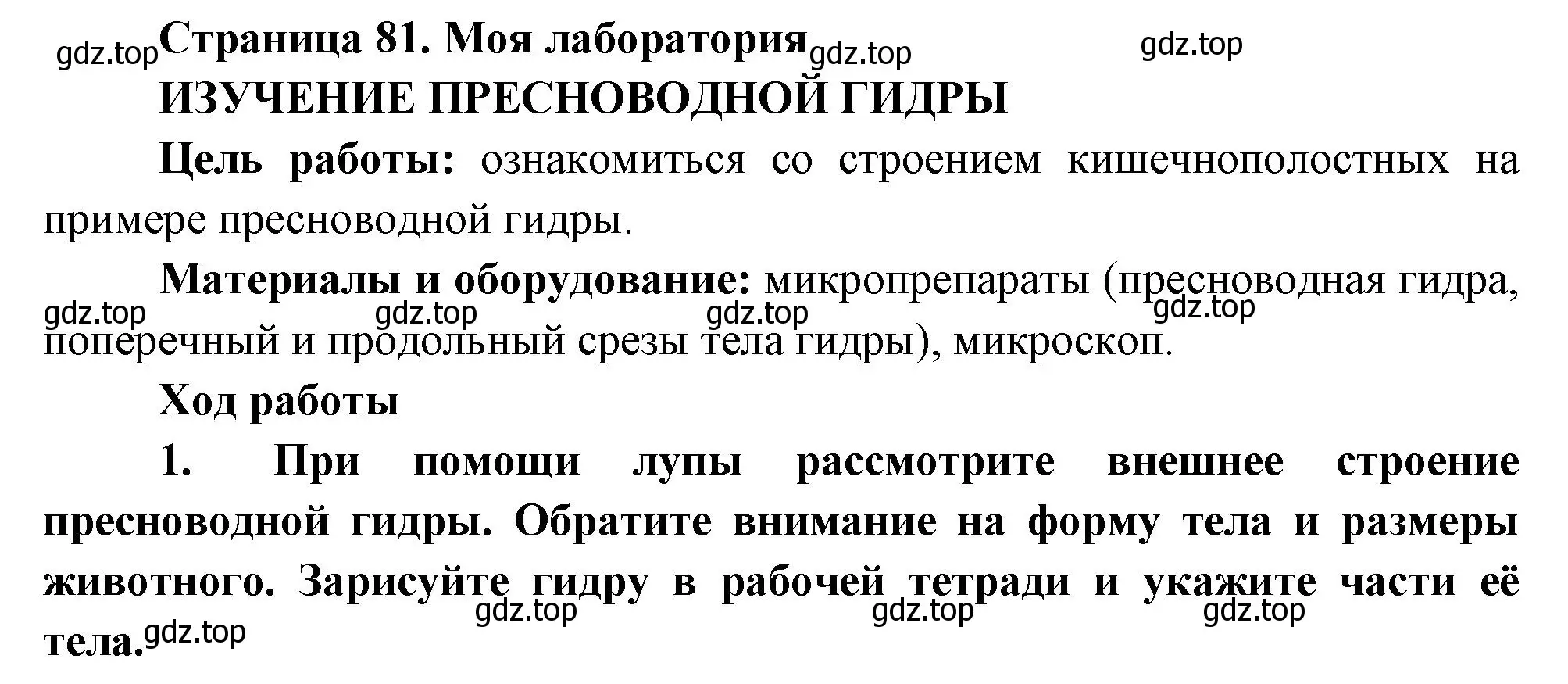 Решение номер Моя лаборатория (страница 81) гдз по биологии 8 класс Пасечник, Суматохин, учебник