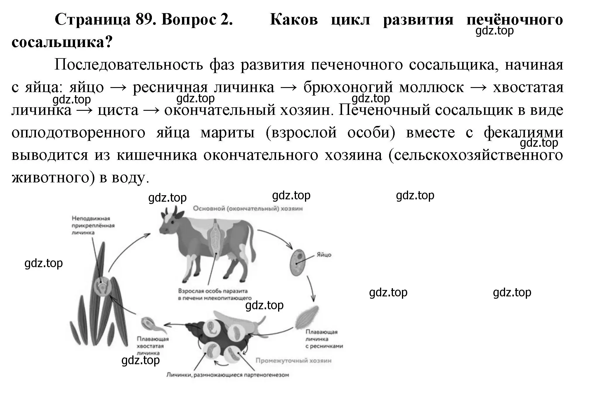 Решение номер 2 (страница 89) гдз по биологии 8 класс Пасечник, Суматохин, учебник