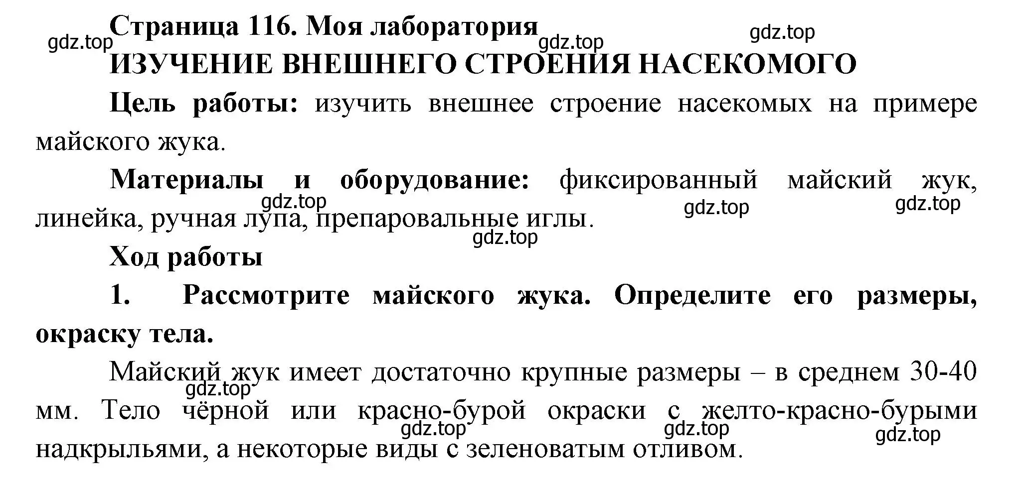 Решение номер Моя лаборатория (страница 116) гдз по биологии 8 класс Пасечник, Суматохин, учебник