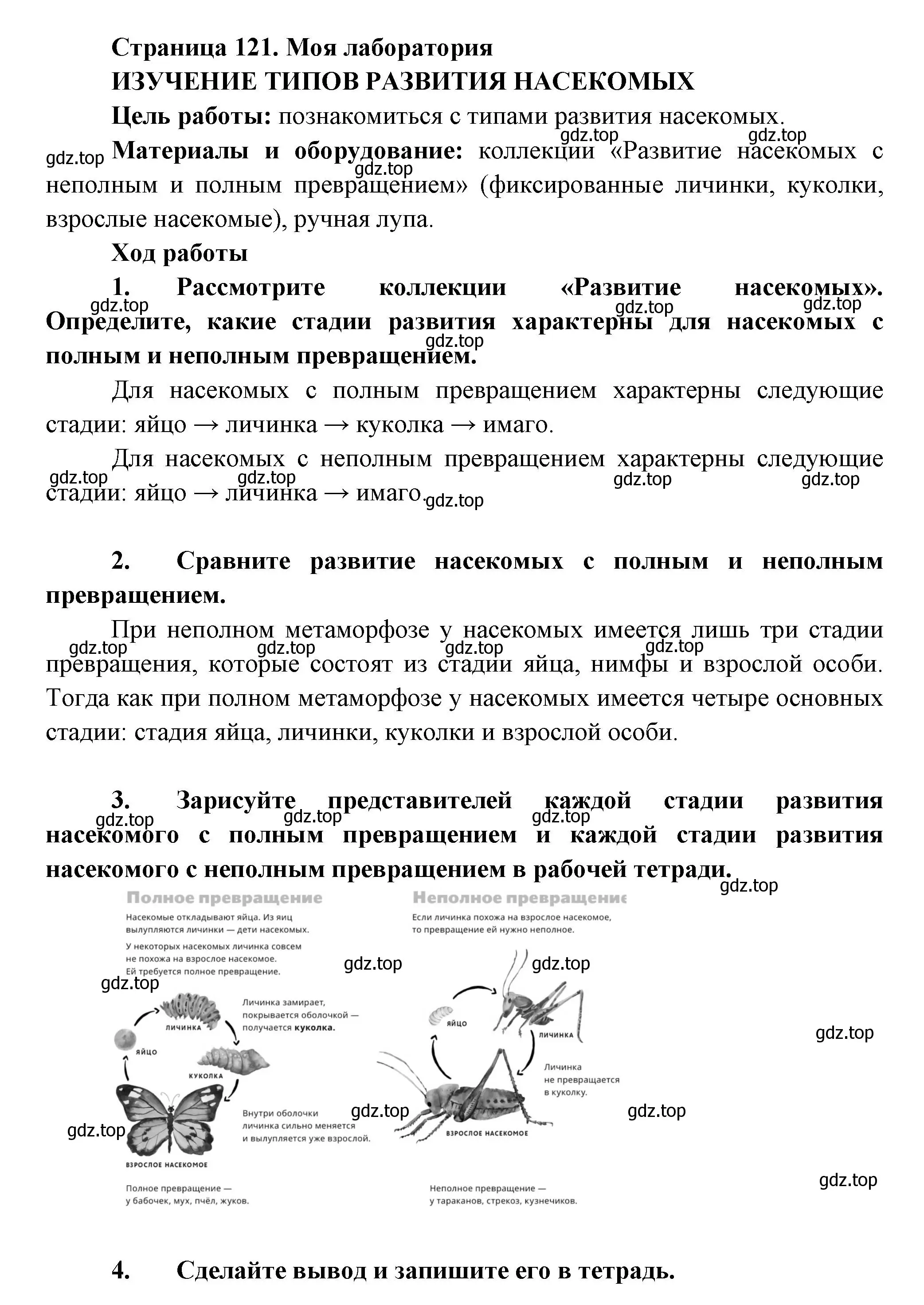 Решение номер Моя лаборатория (страница 121) гдз по биологии 8 класс Пасечник, Суматохин, учебник