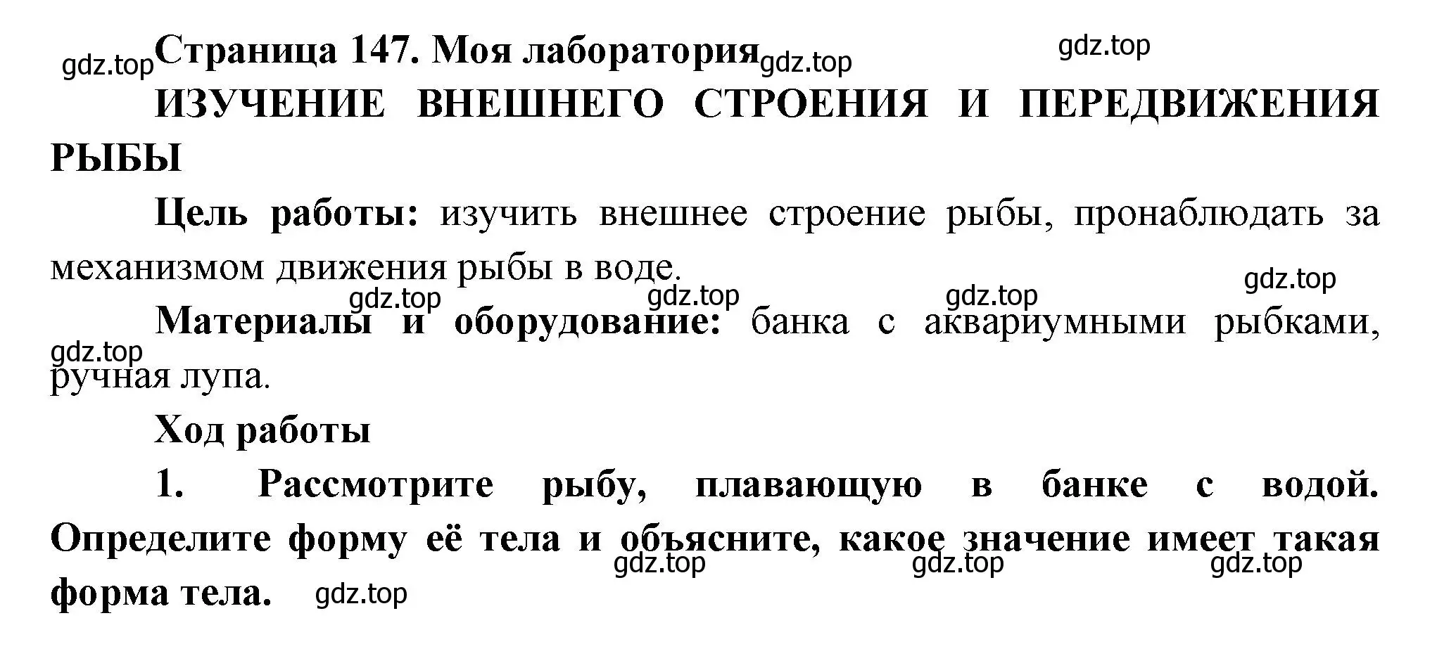 Решение номер Моя лаборатория (страница 147) гдз по биологии 8 класс Пасечник, Суматохин, учебник