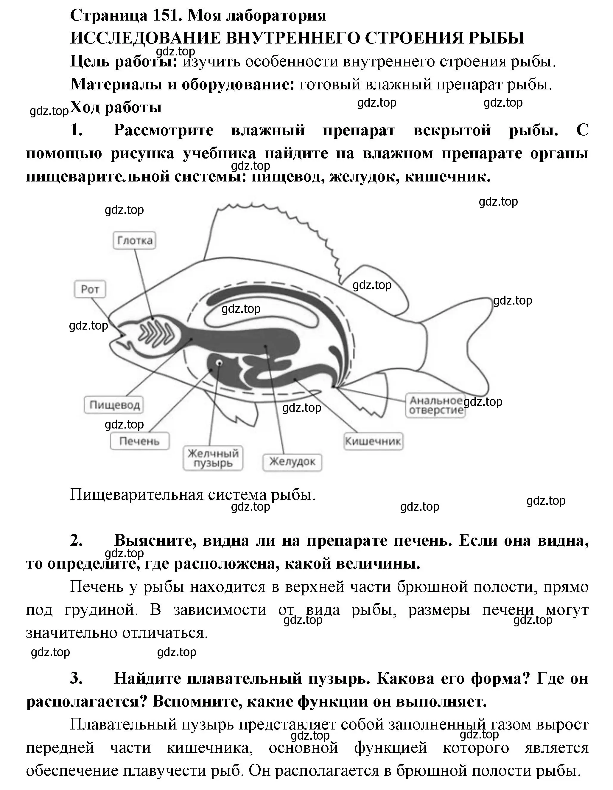 Решение номер Моя лаборатория (страница 151) гдз по биологии 8 класс Пасечник, Суматохин, учебник