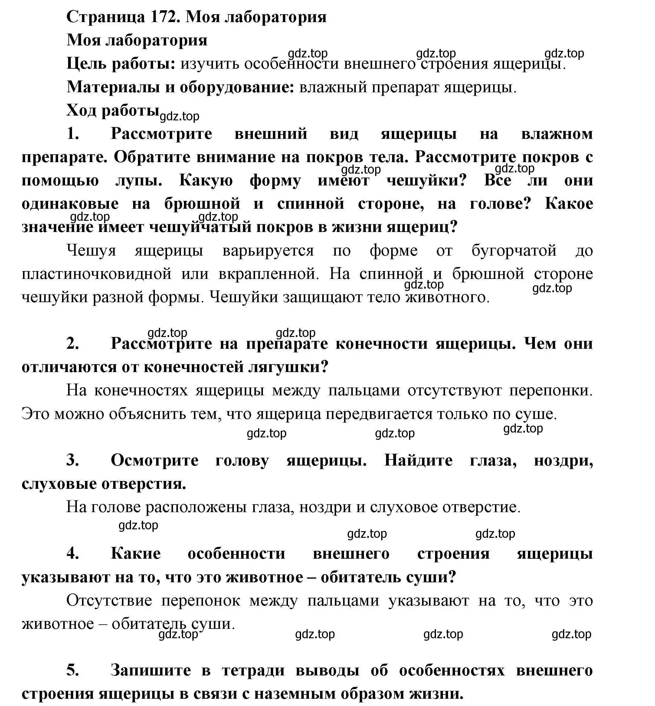 Решение номер Моя лаборатория (страница 172) гдз по биологии 8 класс Пасечник, Суматохин, учебник