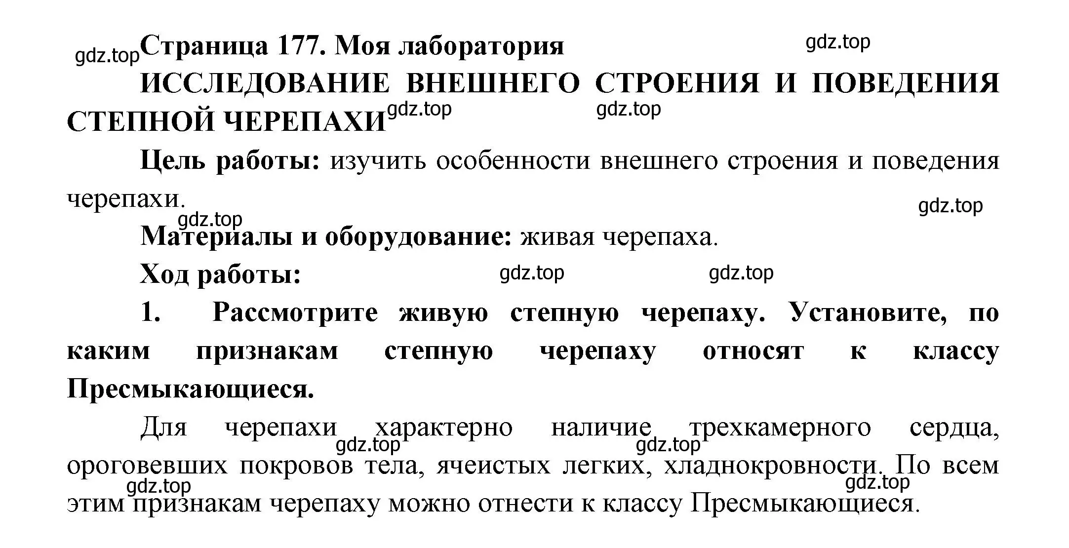 Решение номер Моя лаборатория (страница 177) гдз по биологии 8 класс Пасечник, Суматохин, учебник