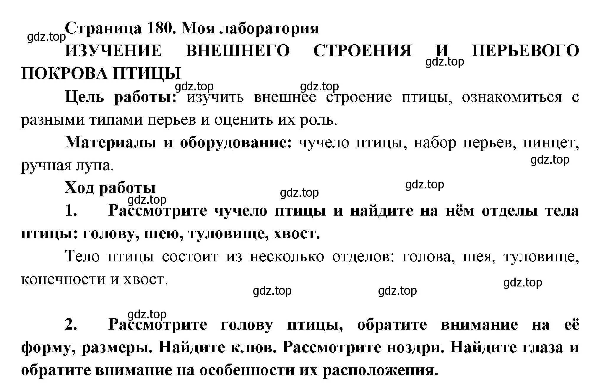 Решение номер Моя лаборатория (страница 180) гдз по биологии 8 класс Пасечник, Суматохин, учебник