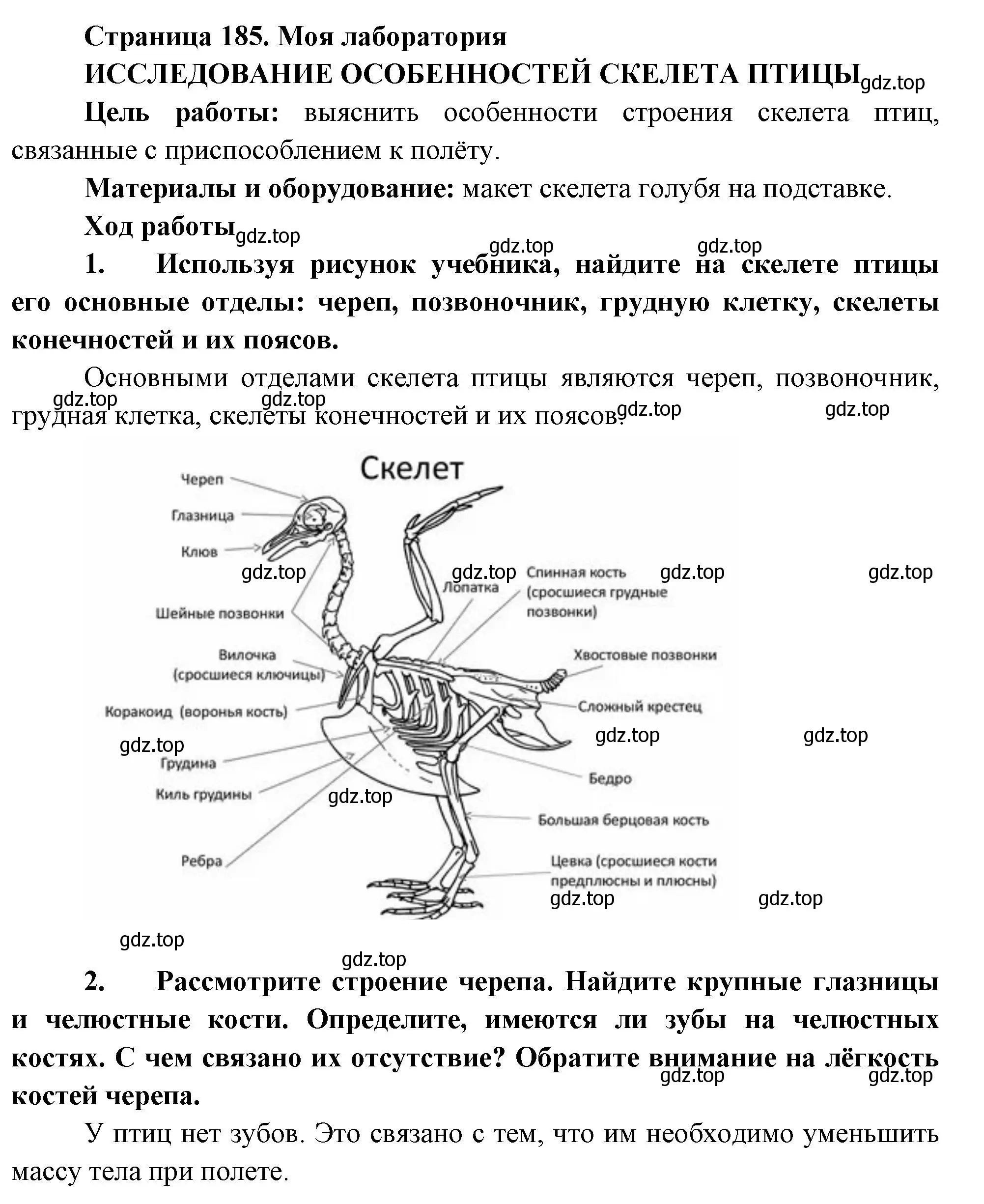 Решение номер Моя лаборатория (страница 185) гдз по биологии 8 класс Пасечник, Суматохин, учебник