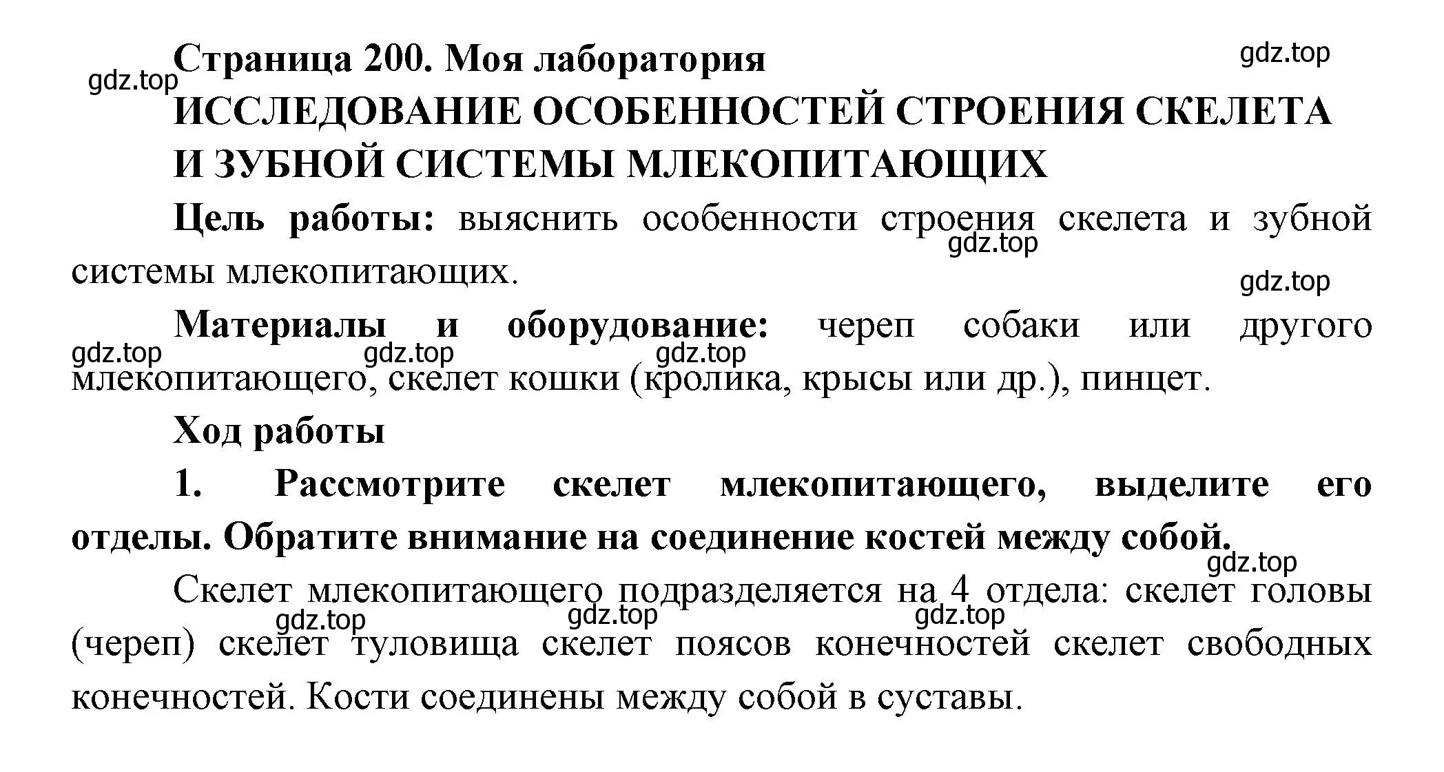 Решение номер Моя лаборатория (страница 201) гдз по биологии 8 класс Пасечник, Суматохин, учебник