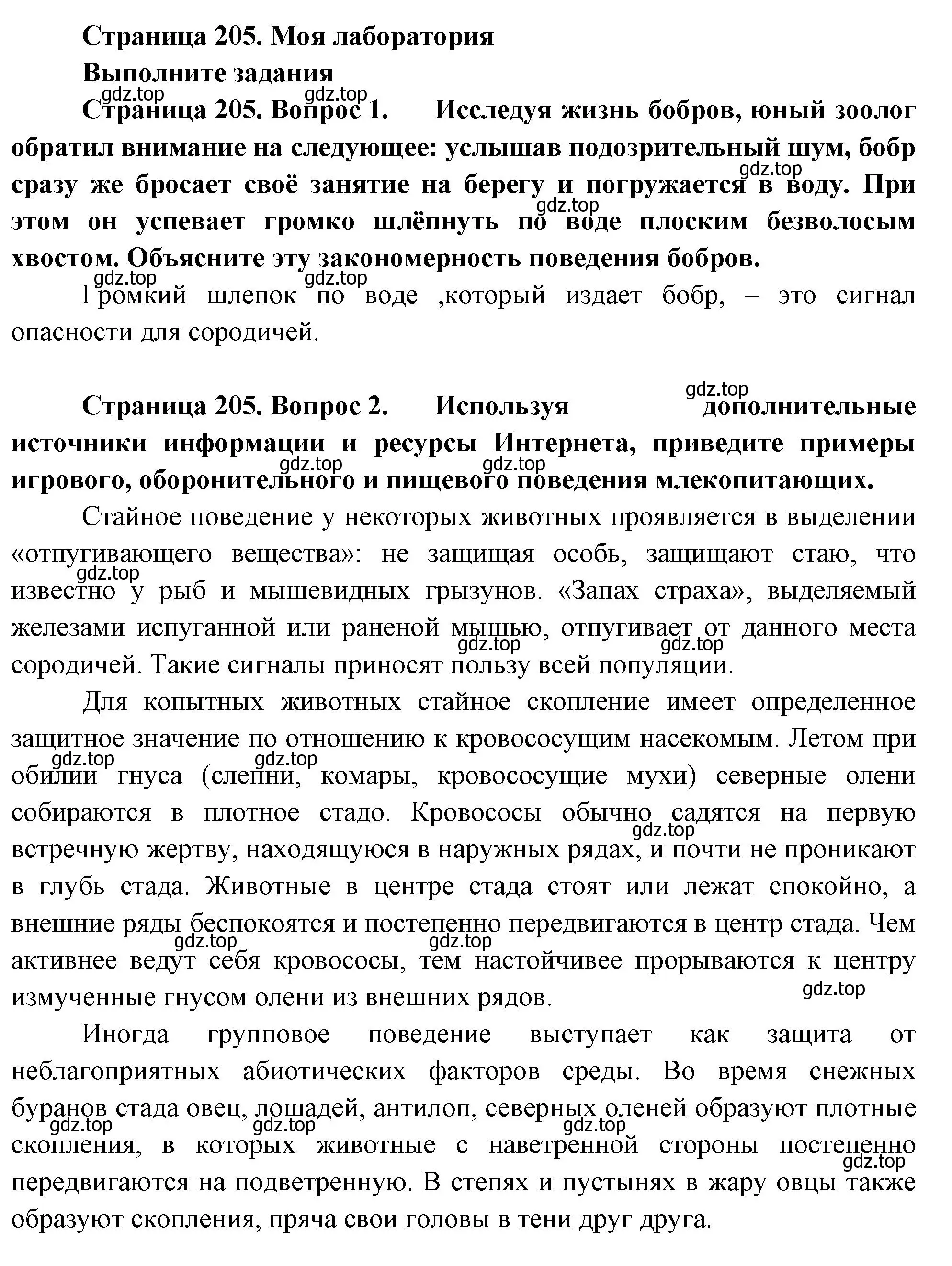 Решение номер Моя лаборатория (страница 205) гдз по биологии 8 класс Пасечник, Суматохин, учебник