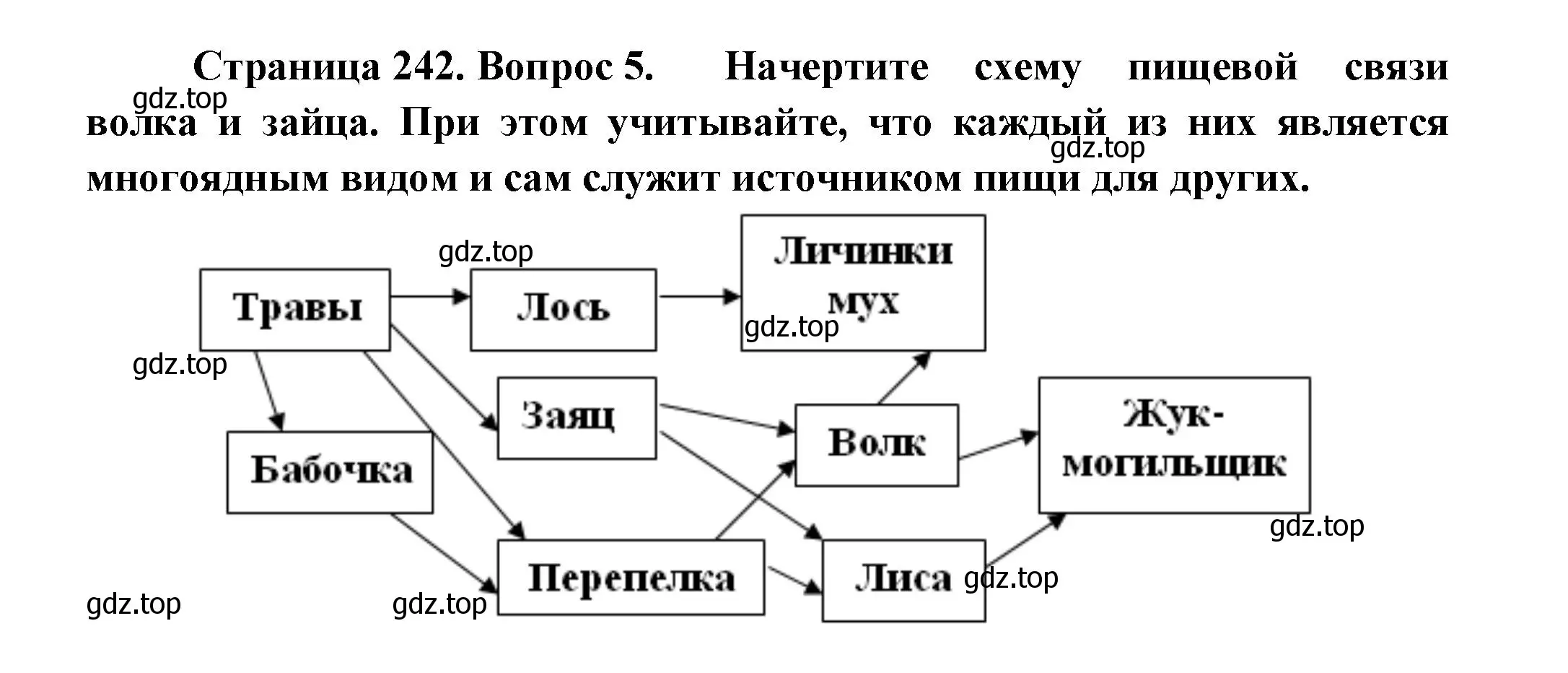 Решение номер 5 (страница 242) гдз по биологии 8 класс Пасечник, Суматохин, учебник