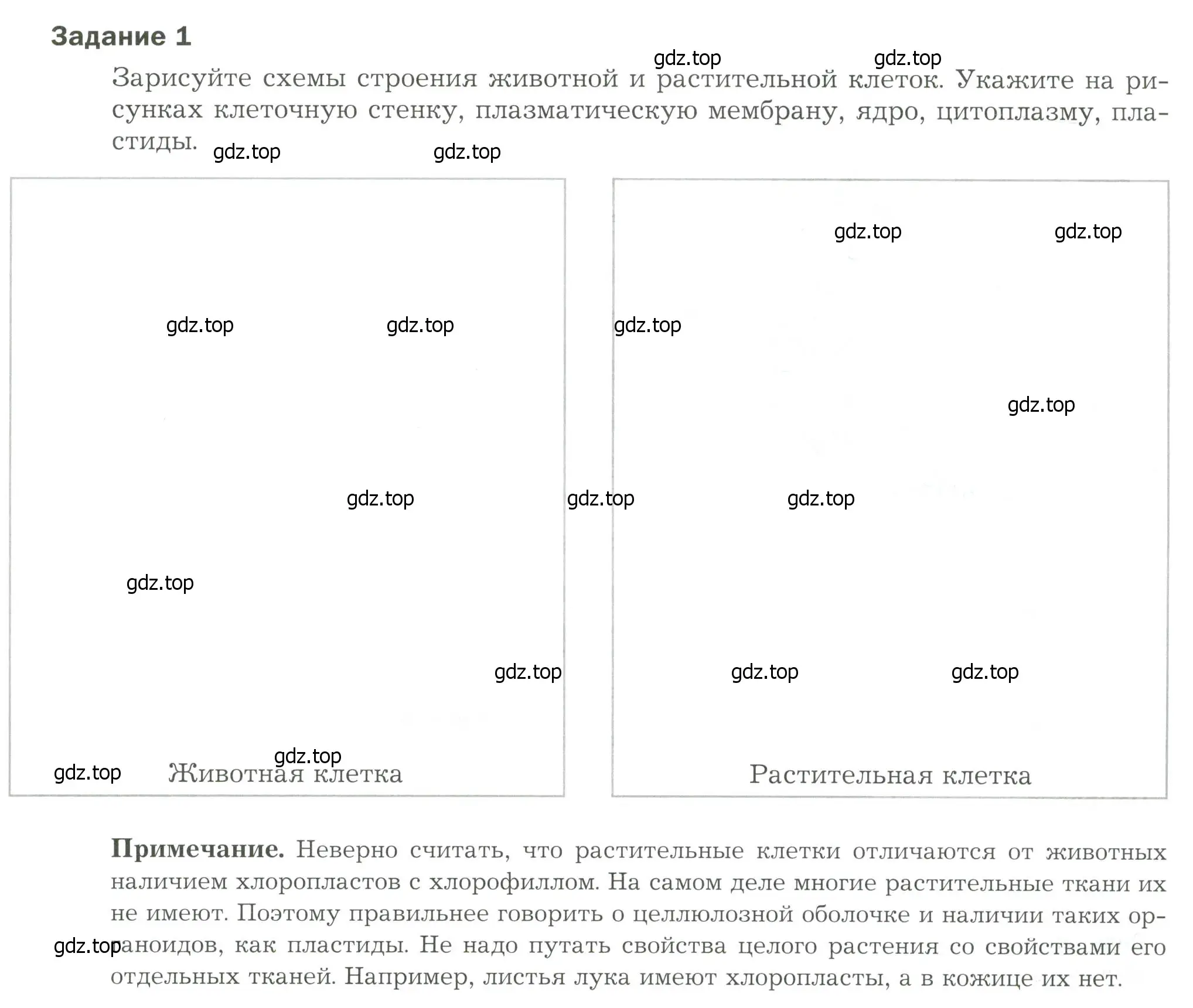 Условие  Задание 1 (страница 7) гдз по биологии 9 класс Драгомилов, Маш, рабочая тетрадь 1 часть