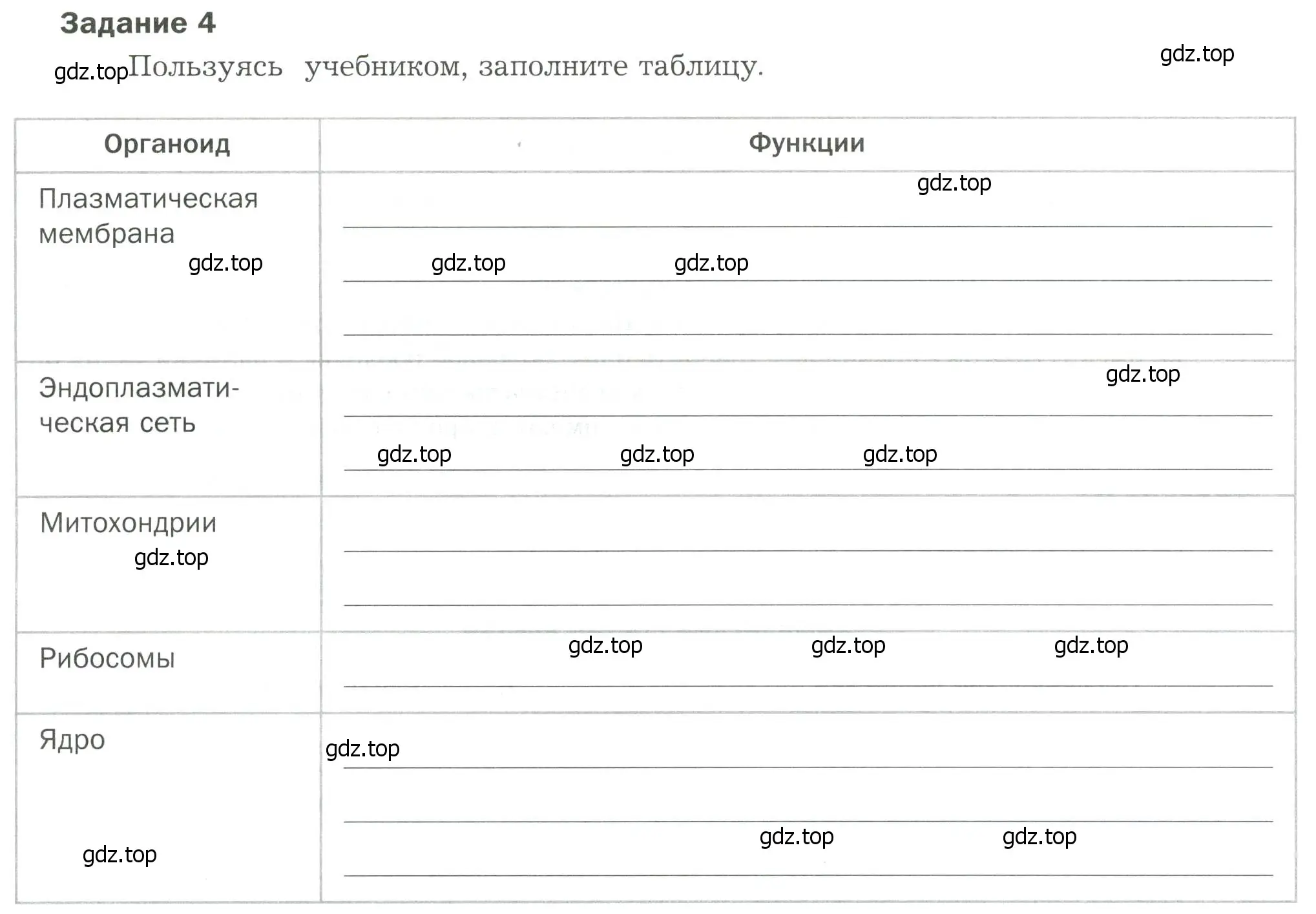 Условие  Задание 4 (страница 8) гдз по биологии 9 класс Драгомилов, Маш, рабочая тетрадь 1 часть