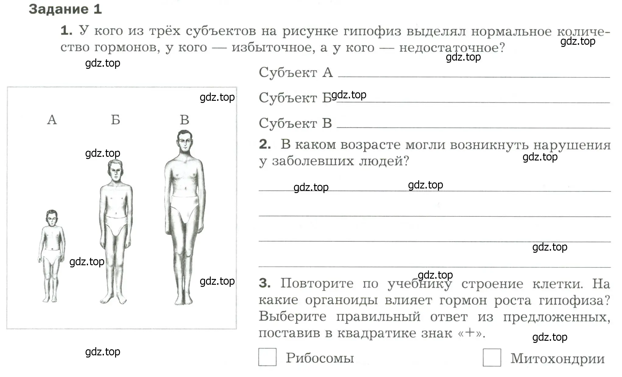 Условие  Задание 1 (страница 21) гдз по биологии 9 класс Драгомилов, Маш, рабочая тетрадь 1 часть