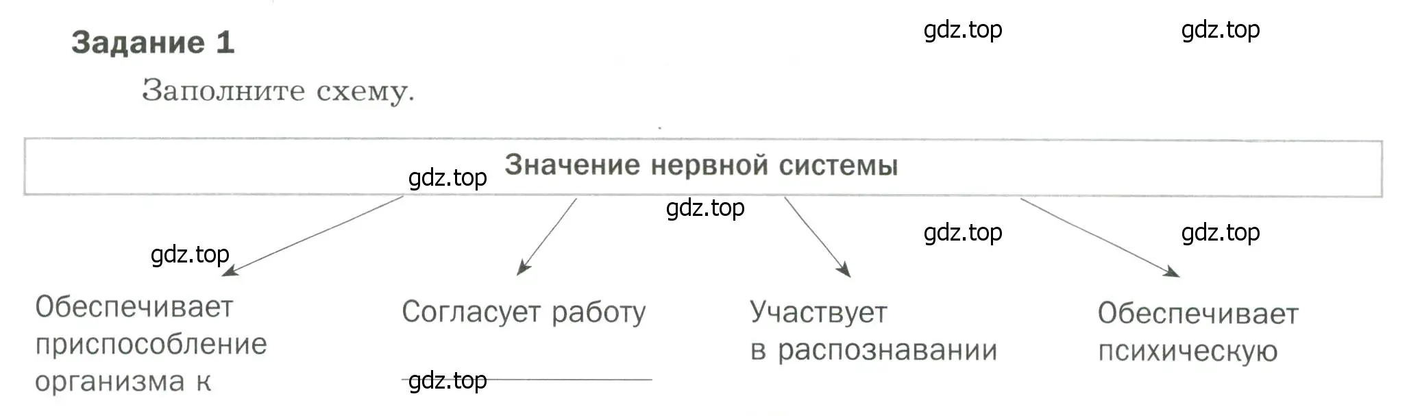 Условие  Задание 1 (страница 25) гдз по биологии 9 класс Драгомилов, Маш, рабочая тетрадь 1 часть