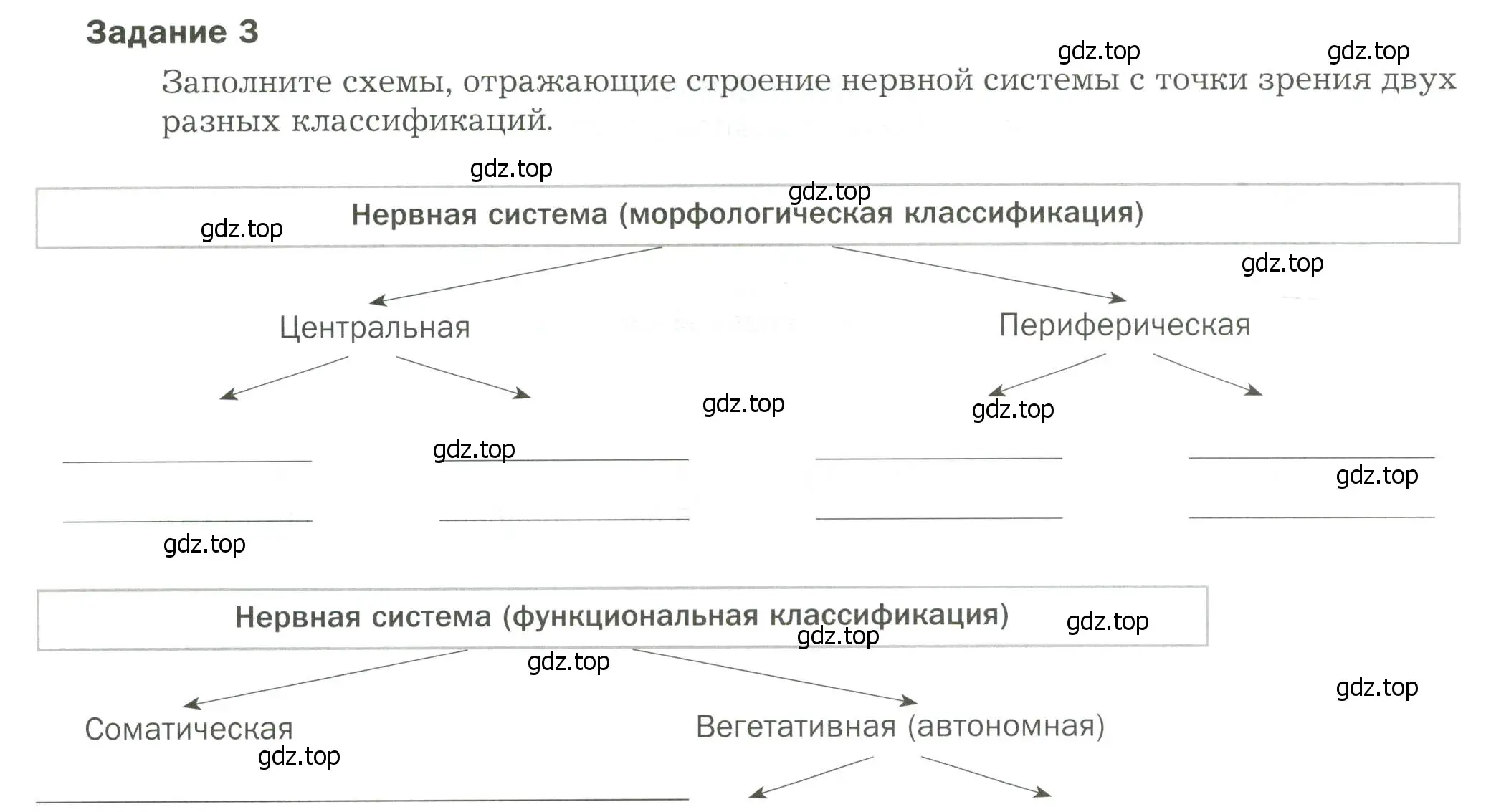 Условие  Задание 3 (страница 26) гдз по биологии 9 класс Драгомилов, Маш, рабочая тетрадь 1 часть