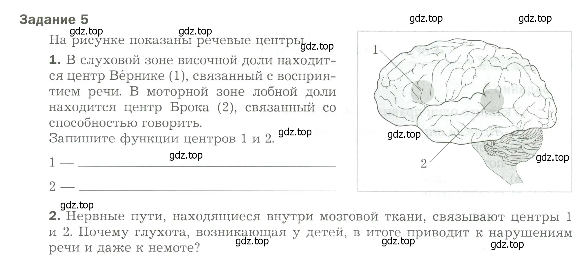 Условие  Задание 5 (страница 35) гдз по биологии 9 класс Драгомилов, Маш, рабочая тетрадь 1 часть